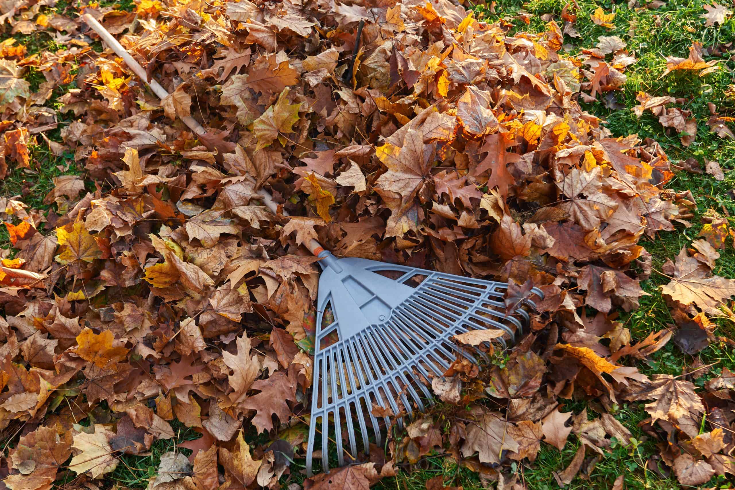 Your Complete Fall Lawn Care Guide for Southwest Indiana - Lawn Masters
